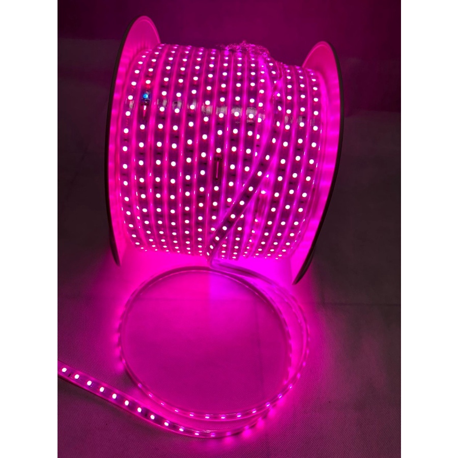 LAMPU LED STRIP SELANG RGB 5050 4 PIN 220V RGB KOMPLIT REMOT 10METER