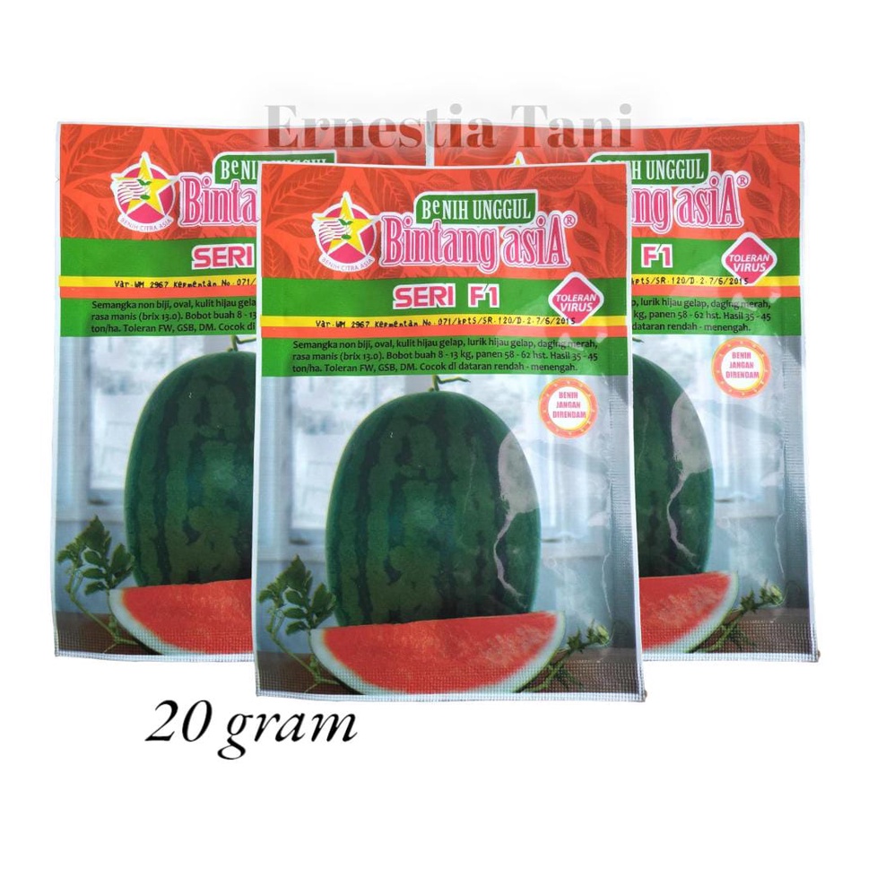 Benih Bibit SEMANGKA SERI F1 20 gram Semangka Unggul Bintang Asia MADRID