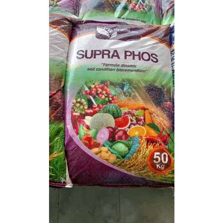 supraphos 50kg pupuk supraphos pupuk phospate pupuk sp36 pupuk sp pupuk fertiphos