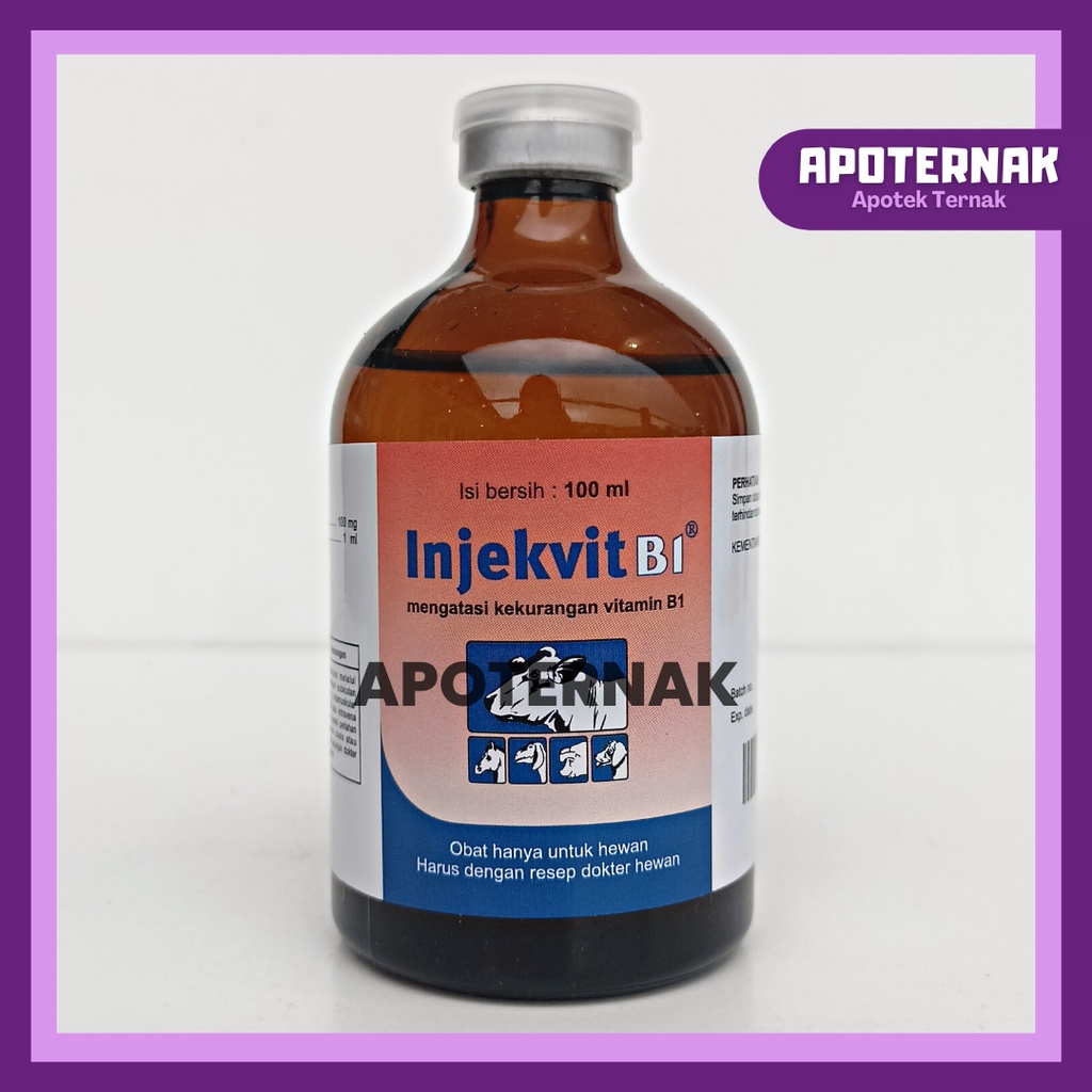 INJEKVIT B1 100 mL | Mengatasi Kekurangan Vitamin B1 Pada Sapi Kerbau Kuda Kambing Domba Ayam Anjing Kucing Hewan Ternak | Vitamin B1