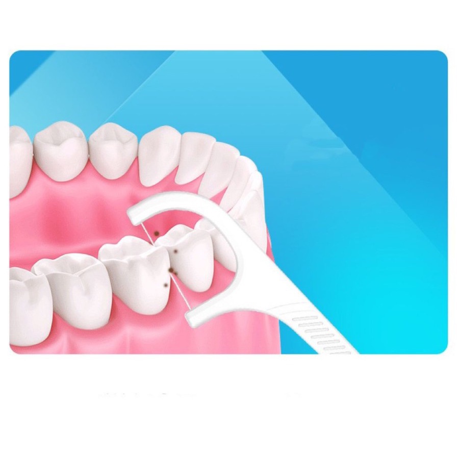 Tusuk Gigi Benang Dental Floss Pembersih sela gigi Plastik