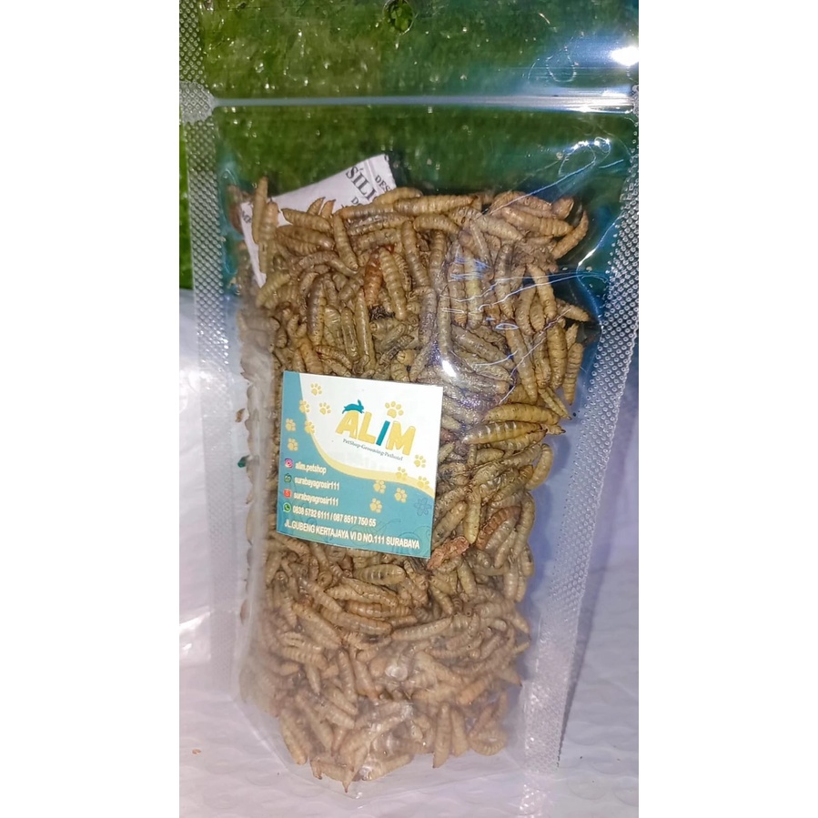 manggot kering repack 50gram/manggot kering pakan hamster dan ikan