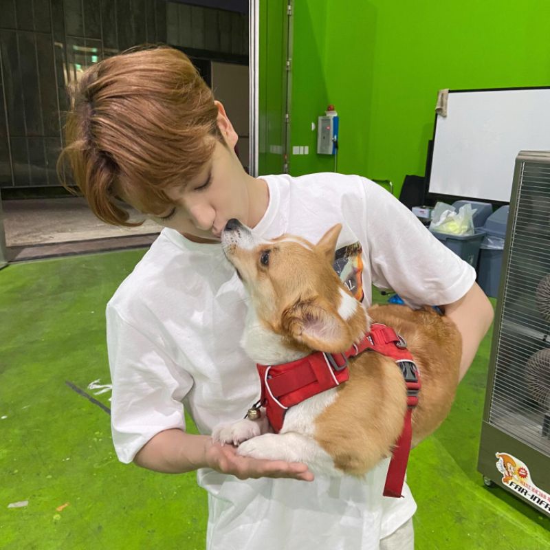 pc hyunjae dreamlike booked