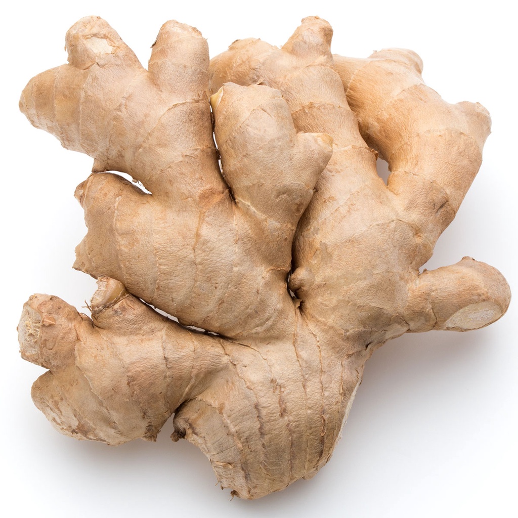 

Jahe Gajah (Putih) Segar / White Fresh Ginger 1kg - 06