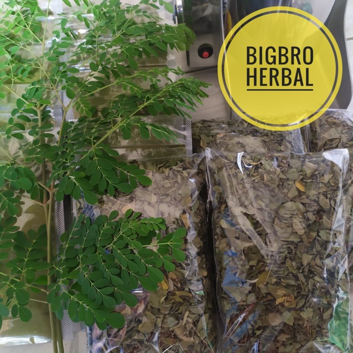 DAUN KELOR KERING ORGANIK PROMO