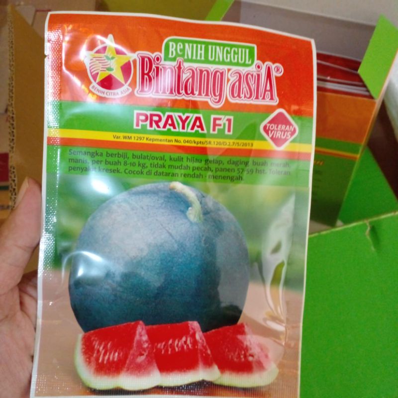 Benih semangka PRAYA F1