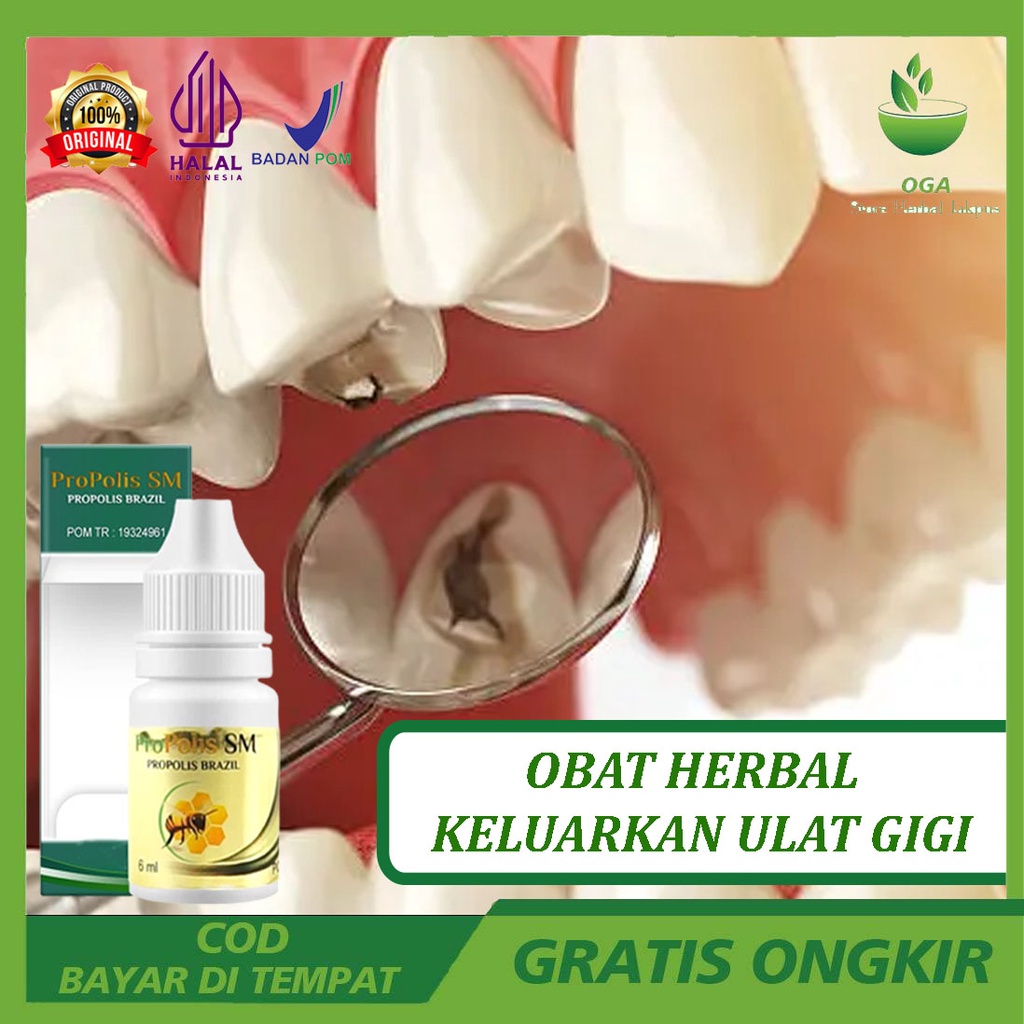 Obat Herbal Untuk Mengeluarkan Ulat Gigi - Cara Keluarkan Ulat Gigi Alami - Cara Hilangkan Ulat Gigi