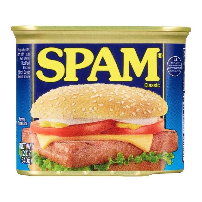 

SPAM USA CLASSIC 340 GRAM 12 OZ (MADE IN USA)