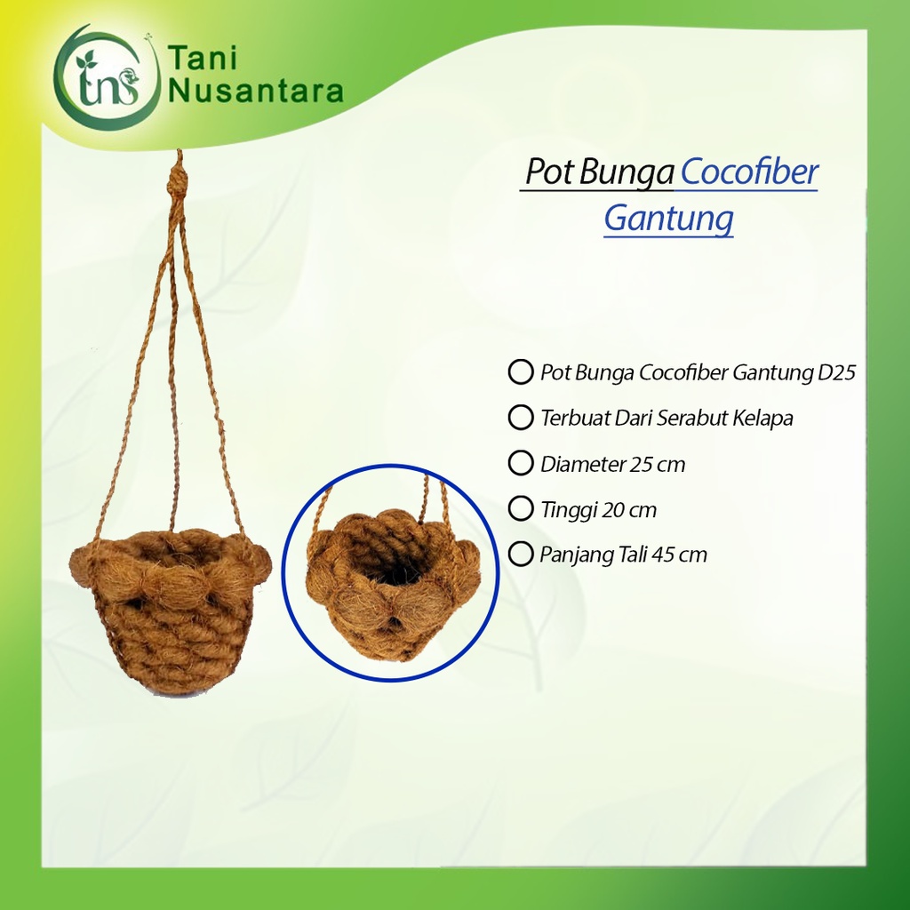 Pot Gantung Ijuk Tanaman Cantik Taman Pot Ijuk Serabut Kelapa