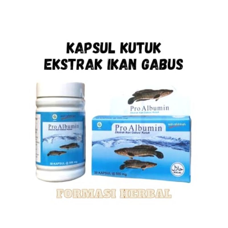 Ekstrak Ikan Gabus / Kapsul Kutuk Pro Albumin Asli Original