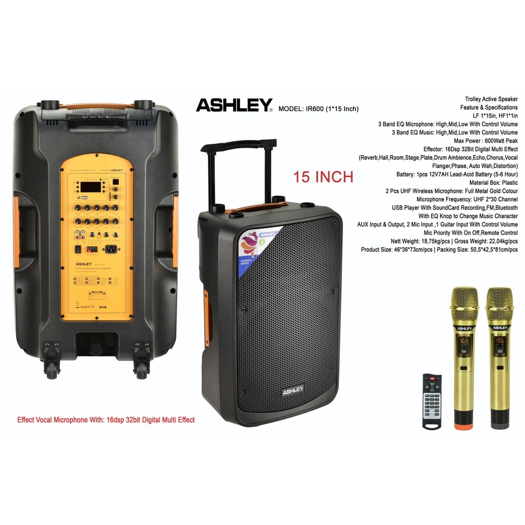 SPEAKER FORTABLE WIRELESS IR600 SPEAKER ASHLEY 15 INCH IR-600