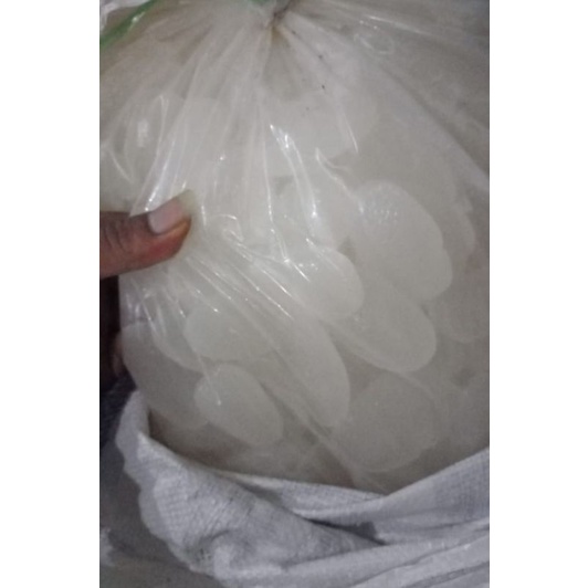 

kolang kaling 1kg