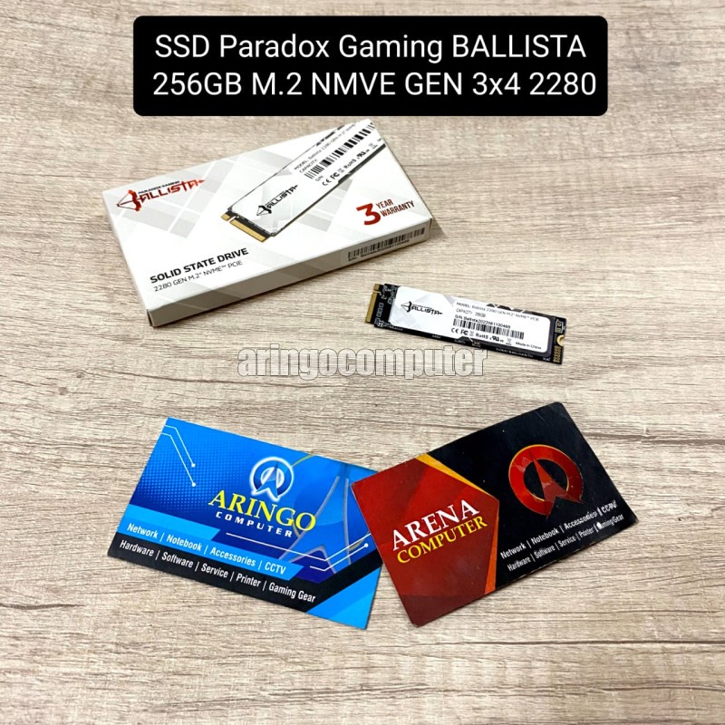 SSD Paradox Gaming BALLISTA 256GB M.2 NMVE GEN 3x4 2280