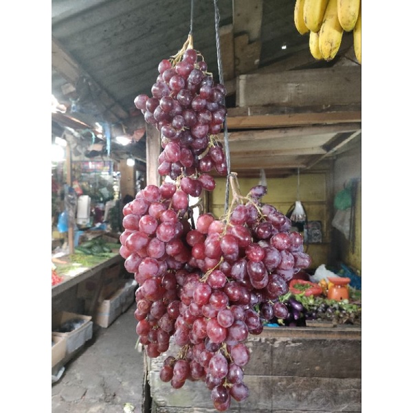 

ANGGUR BERKUALITAS 250 gr