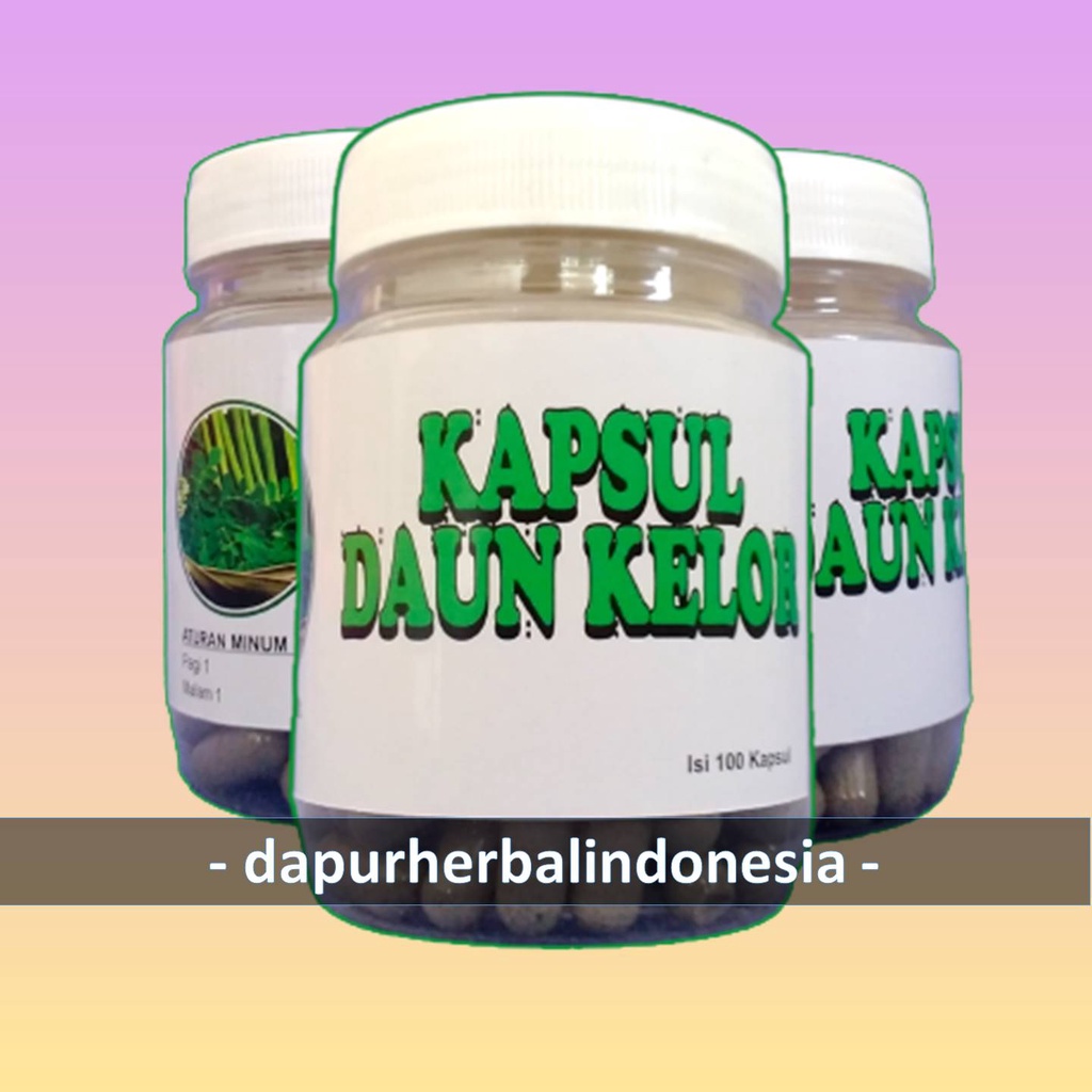 

DAUN KELOR ( KAPSUL )