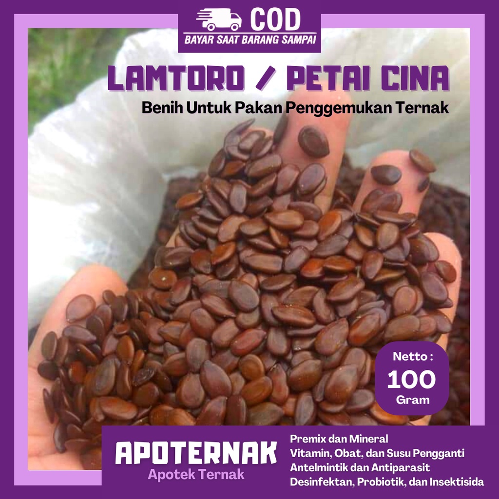 

BIJI LAMTORO TARAMBA SUPER SIAP TANAM | NETTO 100 gr