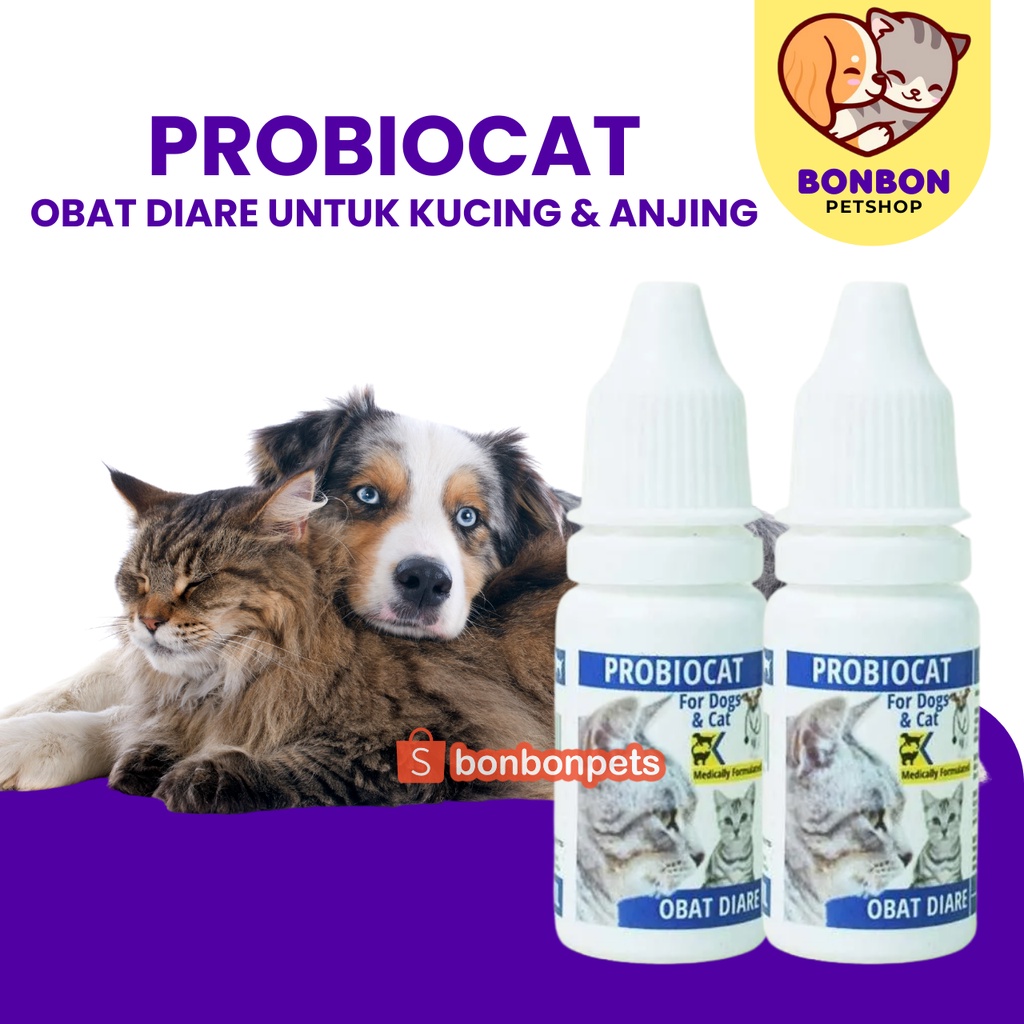 Obat Diare Kucing Obat Berak Darah Kucing Probiocat Alami Original