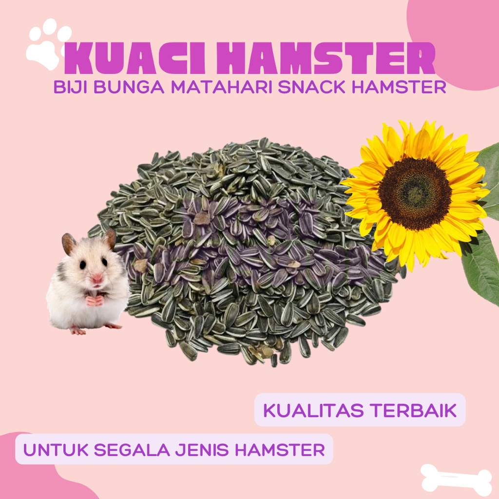 [BISA COD] KWACI KUACI BUNGA MATAHARI HAMSTER BIJI KUACI KWACI HITAM SUN SEED BUNGA MATAHARI PAKAN MAKANAN BURUNG LOVEBIRD LOVE BIRD HAMSTER