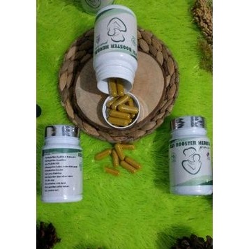ASI BOOSTER Herbal Pelancar Asi Premium