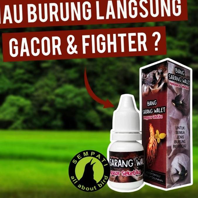 12.12 HARGA GROSIR BIANG SARANG WALET PENGGACOR SEKETIKA SEMPATI VITAMIN BURUNG SPONTAN GACOR UNTUK 