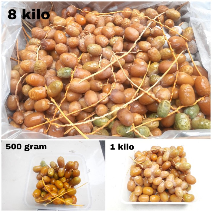 

[Ready Stock] kurma muda rutop barhi