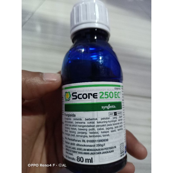 Score 80ml