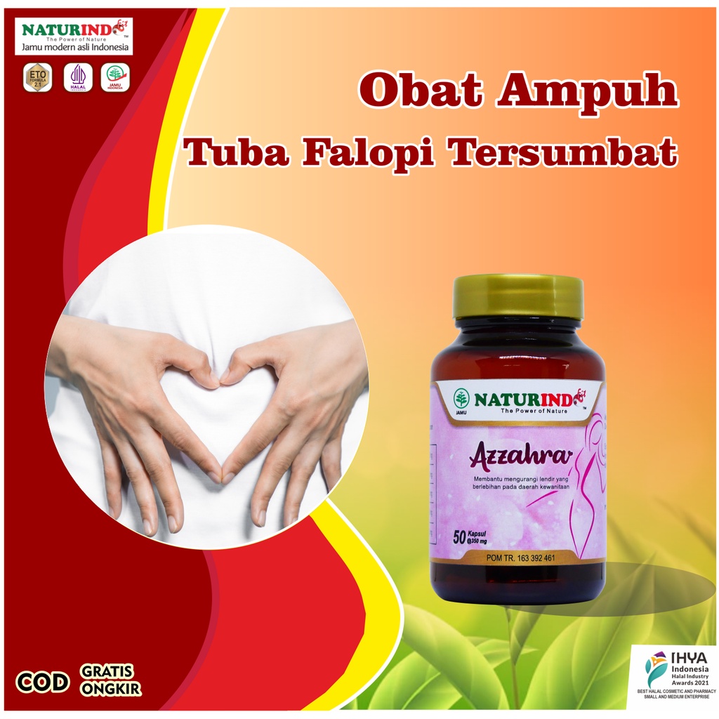 OBAT HERBAL TUBA FALOPI TERSUMBAT SALURAN TUBA BENGKAK HIDROSALPING SINISTRA DEXTRA TUBA NON PATEN K