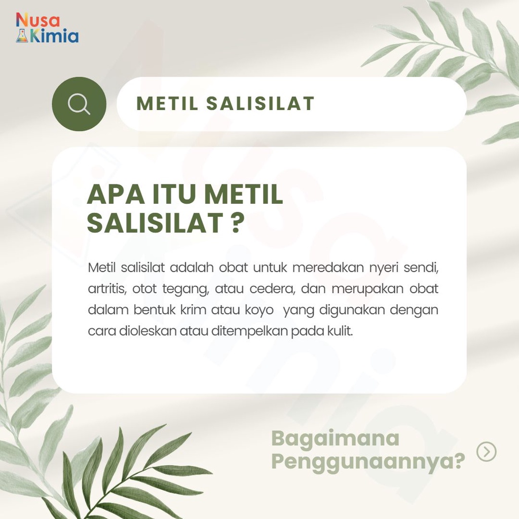 Minyak Gandapura / Metil Salisilat / Metsal 5 Kg