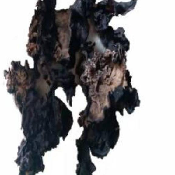 

✺ 1kg | r kuping hitam kering | Dried Black Fungus SU Brand | r kuping sup kimlo tumis dan bahan olahan masakan lainnya ☃