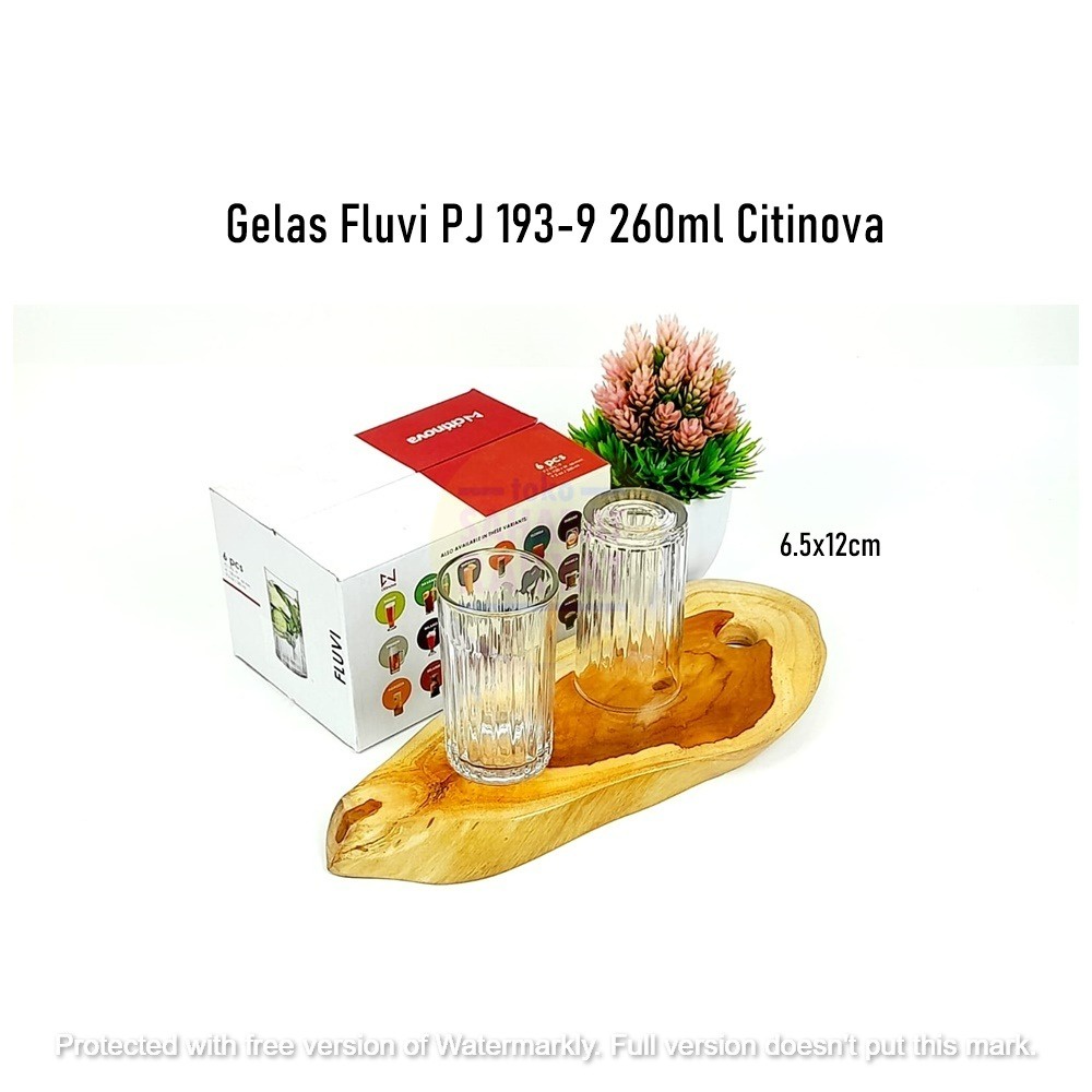 [6pcs] Gelas Fluvi PJ 193-9 Citinova