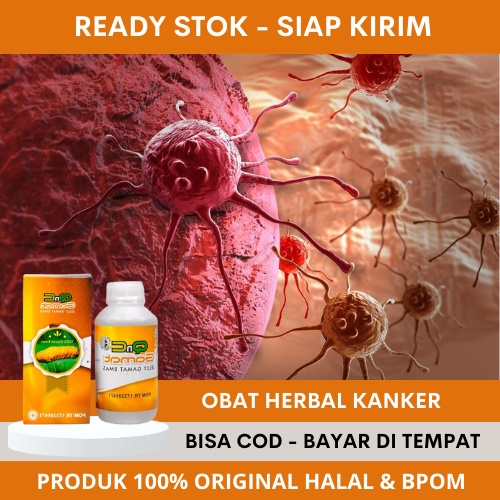 Obat Herbal Kanker - Obat Tumor - Obat Kanker Otak - Obat Kanker Paru Paru - Kanker Servik - Kanker 
