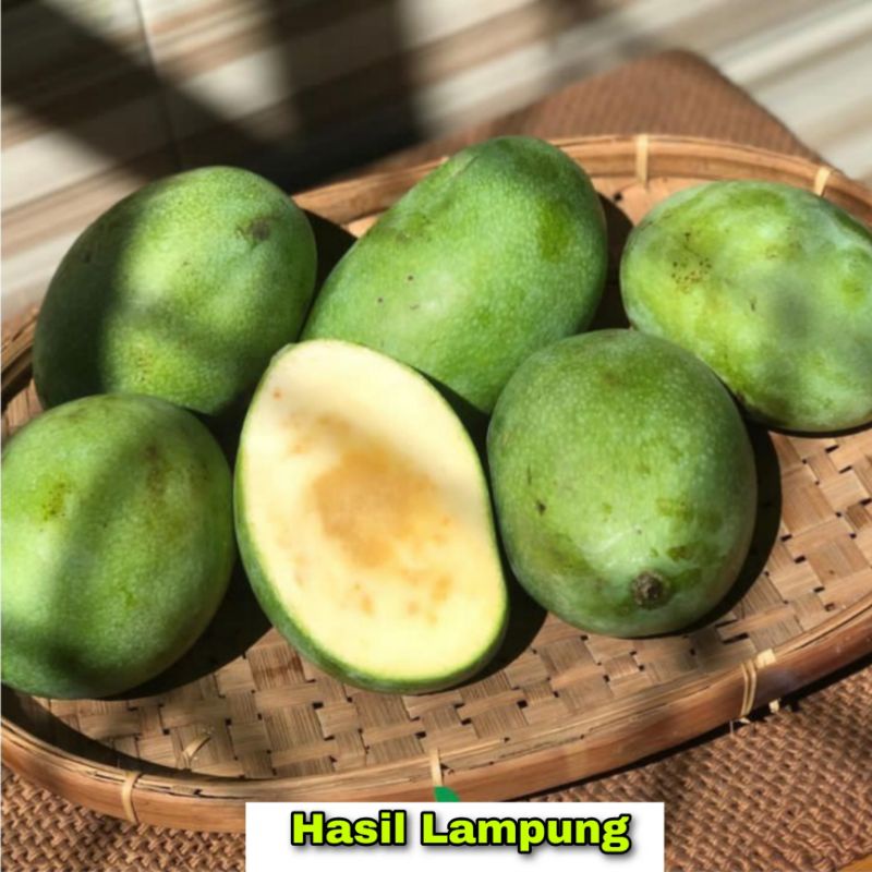 

Mangga Madu Manalagi Manis Super Premium 1 Kg