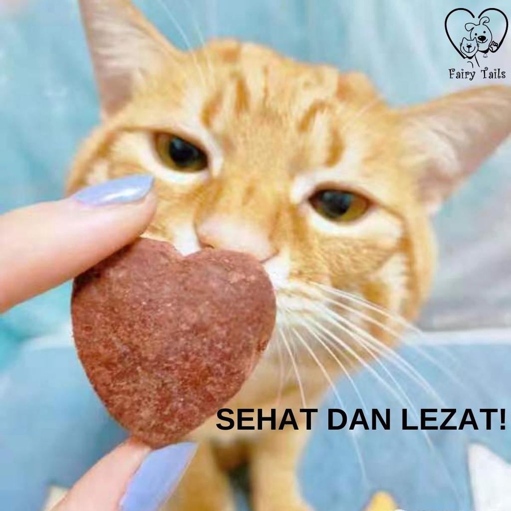 [PREMIUM] Snack Freeze Dried Blood and Meat Darah dan Daging Beku Untuk Anjing dan Kucing Nutrisi Zat Besi Dengan Lysine dan Lecithin