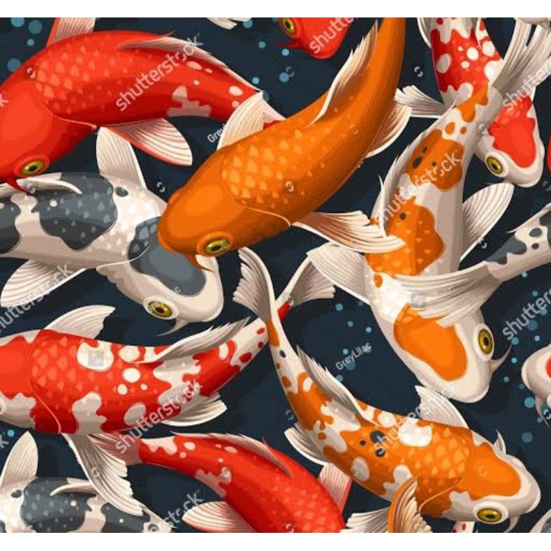 gambar baground dekor gambar shutterstock gambar pemandangan gambar wallcover wallcover dinding bagr