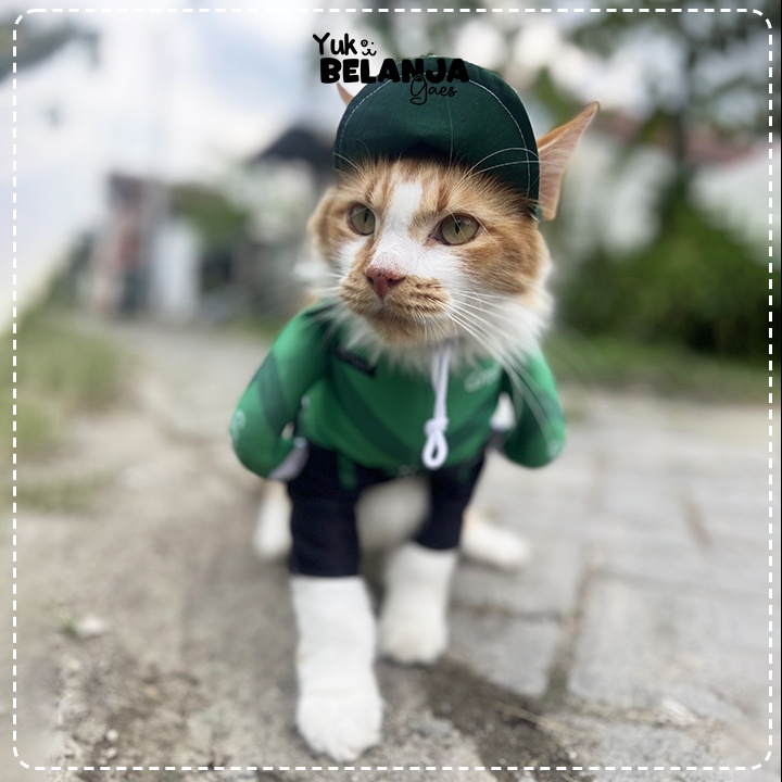 Baju Kucing Bahan Poliester Kostum Ojek Online GRAB Series Terlucu Baju Kucing anjing kelinci Lucu murah Size S-XL / Yuk Belanja Gaes!