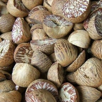 

TERBAIK HERBAL BIJI PINANG KERING 250 GRAM