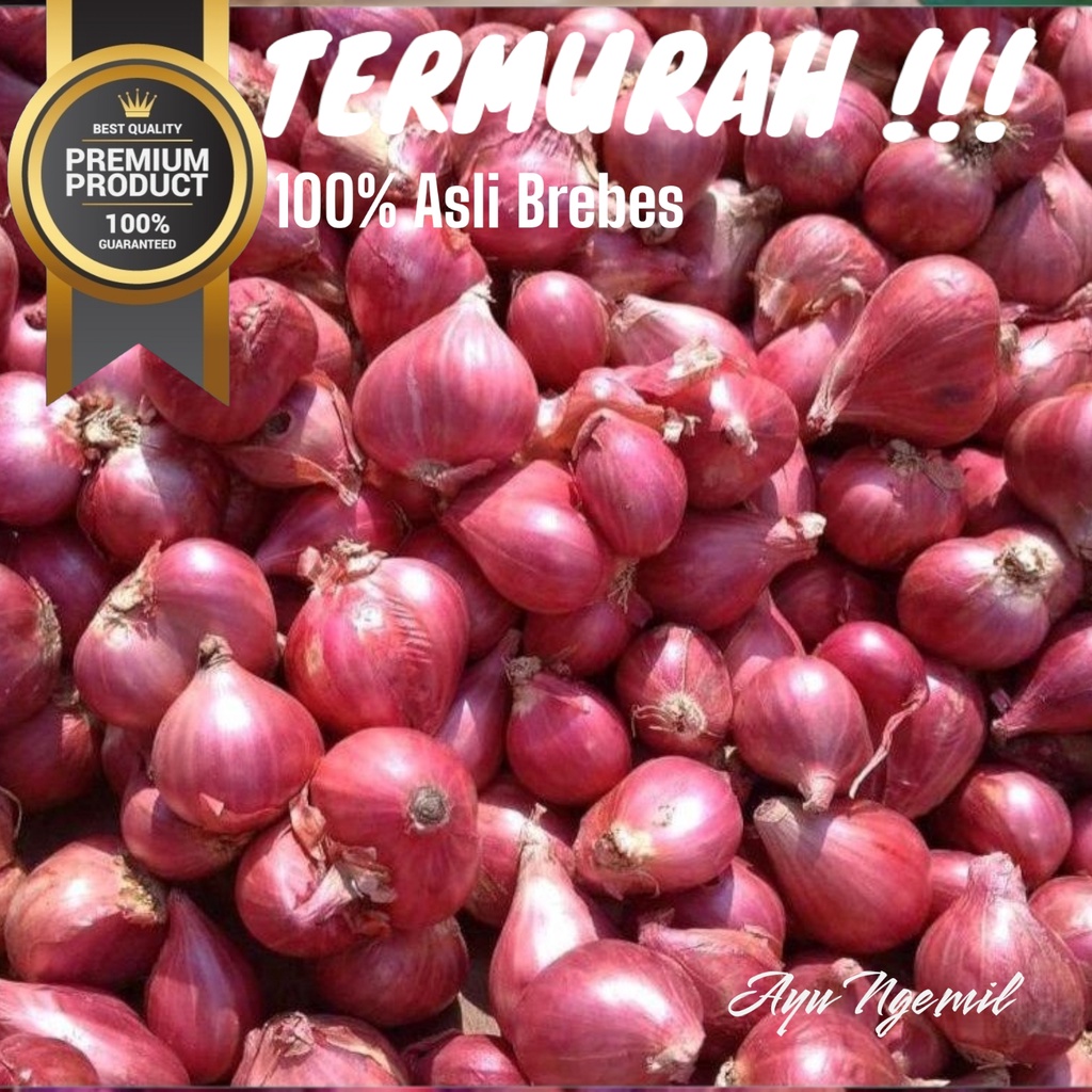 

Bawang Merah Asli Brebes 1Kg - Bawang Merah Brebes Super Berkualitas