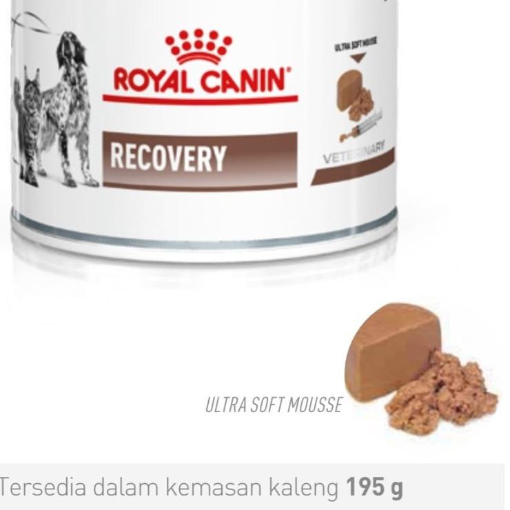 

➸ Royal Canin Recovery Kaleng 195gr ✽