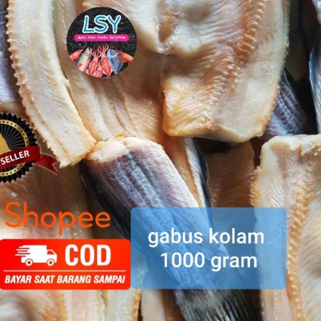 

☇ ikan asin gabus kolam size besar 1kg ❂