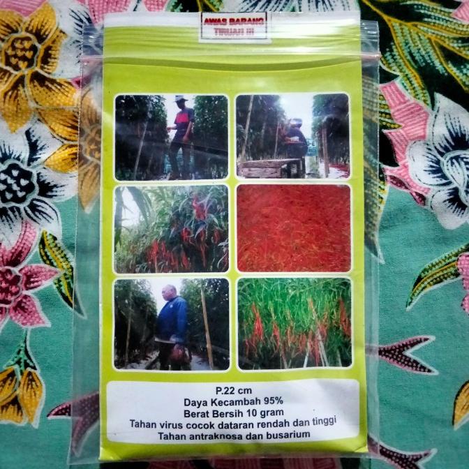 Bibit Cabe Awe Aceh 10gr - Benih Cabe Merah Keriting Awe Aceh- CMK Awe