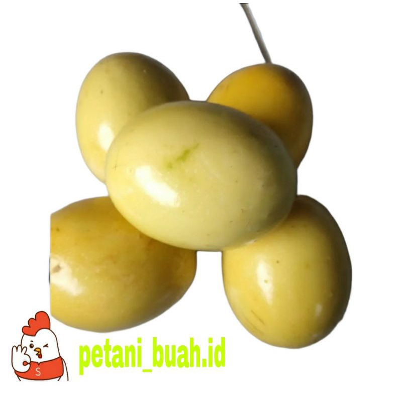 

markisa kuning 1kg