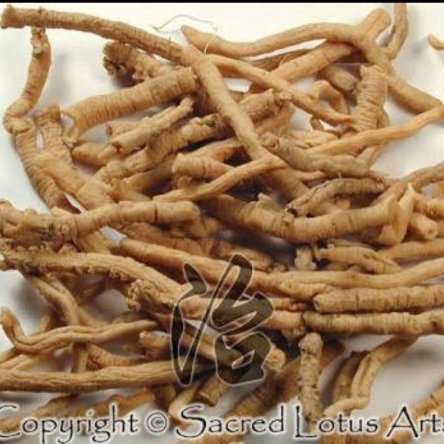 

1KG 1 KG 1000 G GR GRAM YUAN ZHI RADIX POLYGALAE POLYGALA SENEGA ROOT