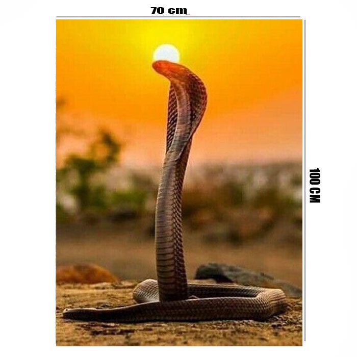 Poster jumbo uk 70 x 100 bahan albatros motiv cobra sunset