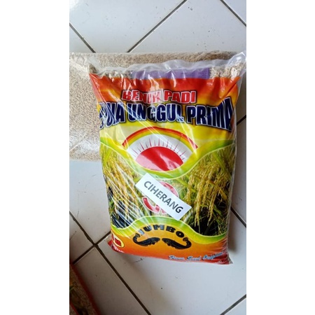 Benih padi Ciherang Jumbo Bersertifikat label ungu kemasan 5kg