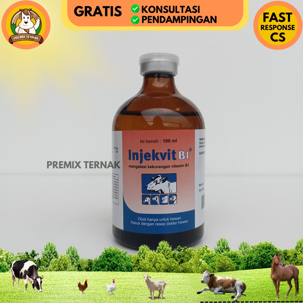 INJEKVIT B1 100ml - Mengatasi kekurangan vitamin B1 pada hewan sapi kerbau kuda babi kambing domba ayam anjing kucing - Vitamin B1 - Vit B1 - Vitamin B1 Medion - Vitamin B1 wonder