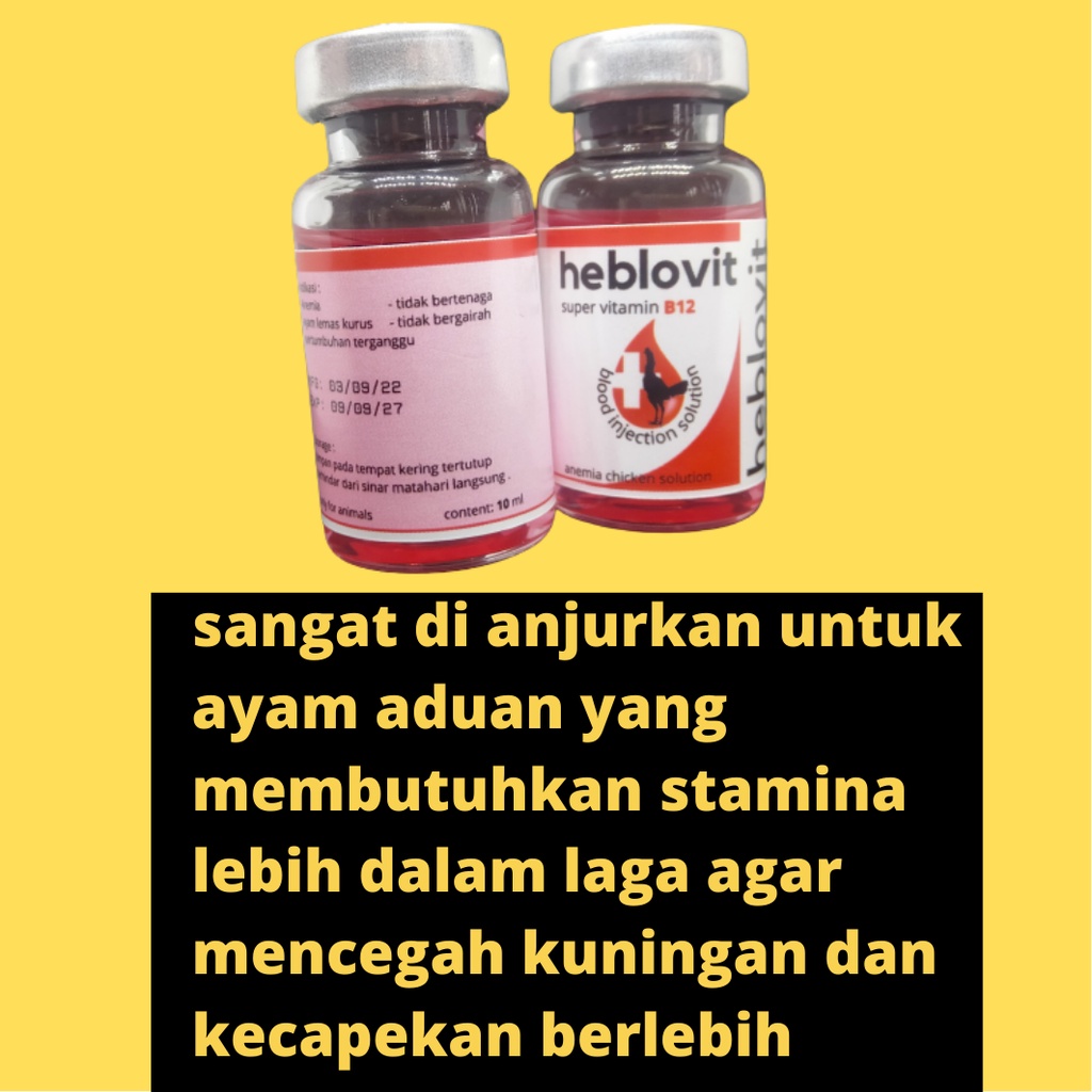 obat ayam pucat lesu kuningan heblovit inject 10ml zeorfarm