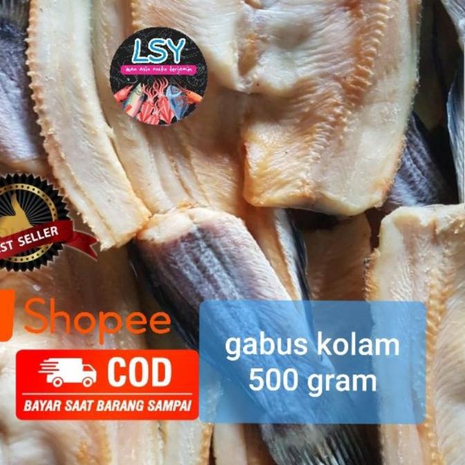 

✬ ikan asin gabus kolam size besar 500gr ♨