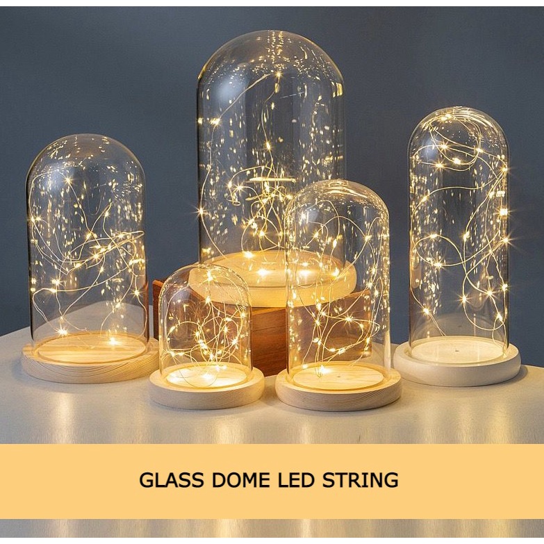 FLOPY [Termasuk Lampu] Glass Dome Led String  / Flower Dome Light / Lampu Kubah Kaca Import