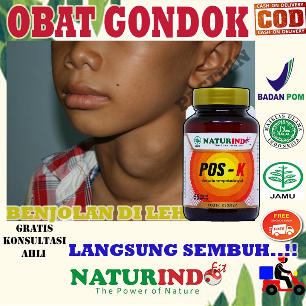OBAT GONDOK OBAT BENJOLAN DI LEHER OBAT BENJOLAN DI TUBUH OBAT GONDOK TEROID TIROID Herbal Ampuh COD