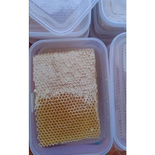 

Madu sarang asli fresh